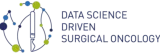 DSDSO logo